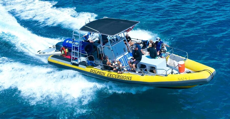 Oahu: Dolphin Swim and Turtle Snorkel Excursion in Waianae - Searching for dolphins in open water