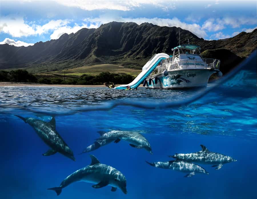 Oahu: Dolphin Watching & Turtle Snorkeling with Waterslide - Starting with E Ho Mai on Oahu’s west coast