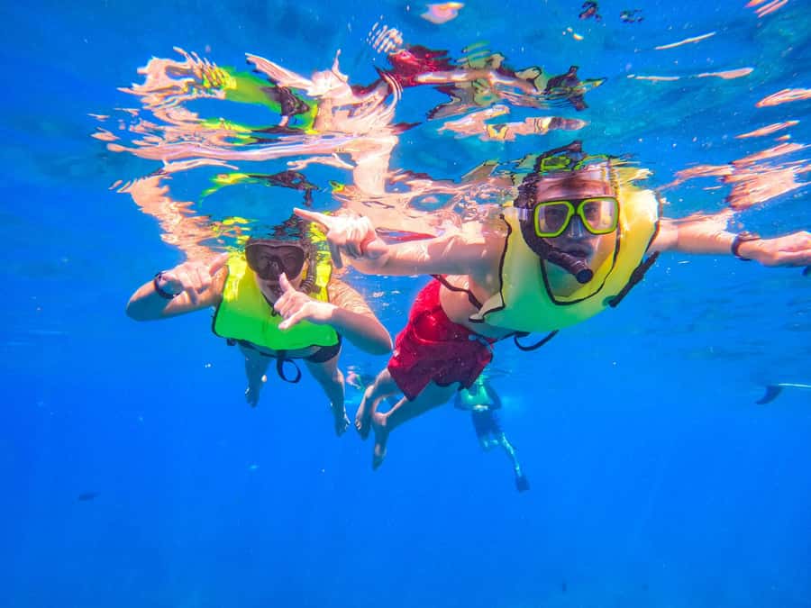 Oahu: Dolphin Watching & Turtle Snorkeling with Waterslide - What the $190 price includes