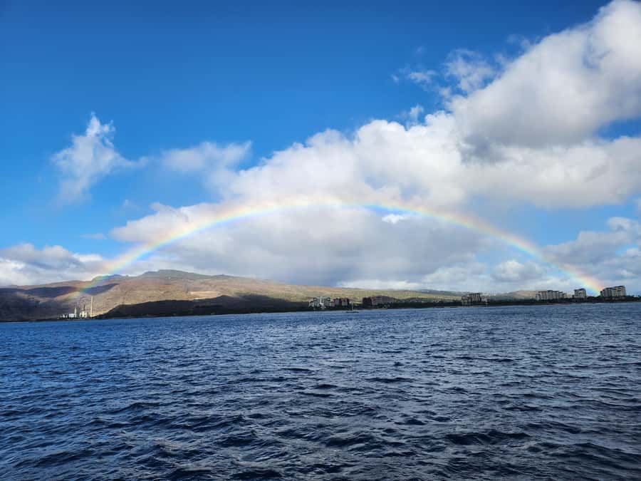 Oahu: Snorkeling & Dolphin Watch Cruise w/ Luau Style Buffet - Key points to know before you book