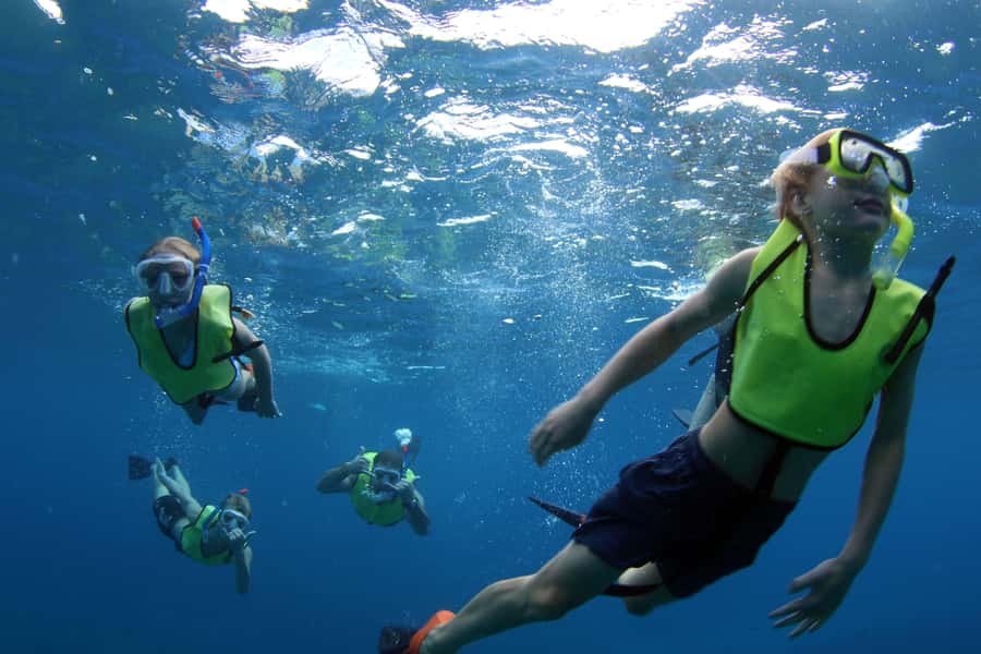 Oahu: Snorkeling & Dolphin Watch Cruise w/ Luau Style Buffet - Who will enjoy this cruise most