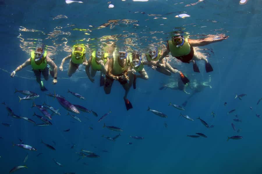 Oahu: Snorkeling & Dolphin Watch Cruise w/ Luau Style Buffet - Choosing a morning, afternoon, or sunset departure