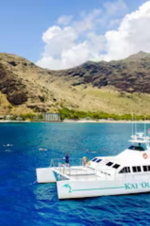 Oahu: Snorkeling & Dolphin Watch Cruise w/ Luau Style Buffet - Is $171 a fair price?