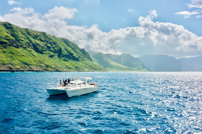 Oahu: Swim with Dolphins on the West Coast - Three chances to enter the water