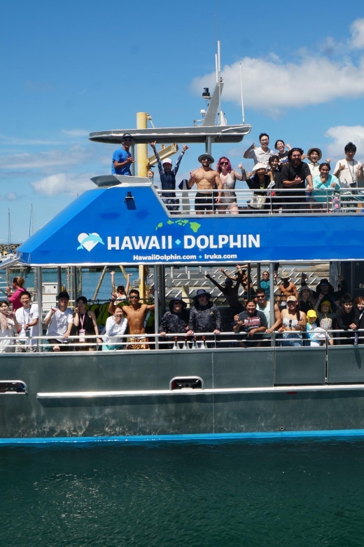 Oahu: Wild Dolphins Swim Turtle Snorkel Tour & Waterslide - Makaha and the search for Hawaiian green sea turtles