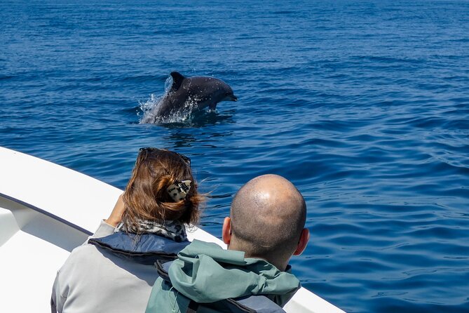 Observation of Dolphins and Whales with Marine Biologist in Arrábida - Setting out from Sesimbra at 10 am