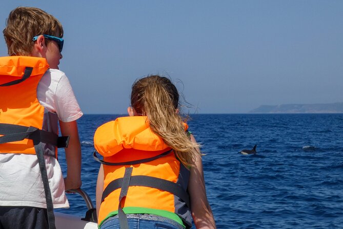Observation of Dolphins and Whales with Marine Biologist in Arrábida - Could you see a whale or even a shark?