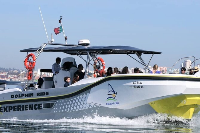 Observation of Dolphins in Setúbal - Setting Out From Setúbal in Search of Dolphins
