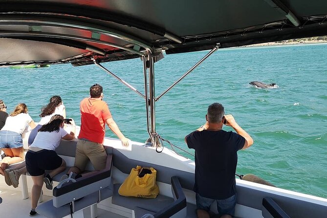 Observation of Dolphins in Setúbal - The Coastal Cruise After the Dolphins