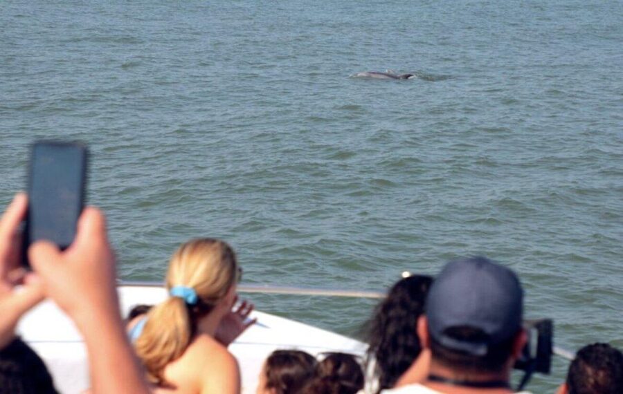 Ocean City, MD: Coastal Speedboat Tour with Dolphin Spotting - Photos and the onboard liquor license