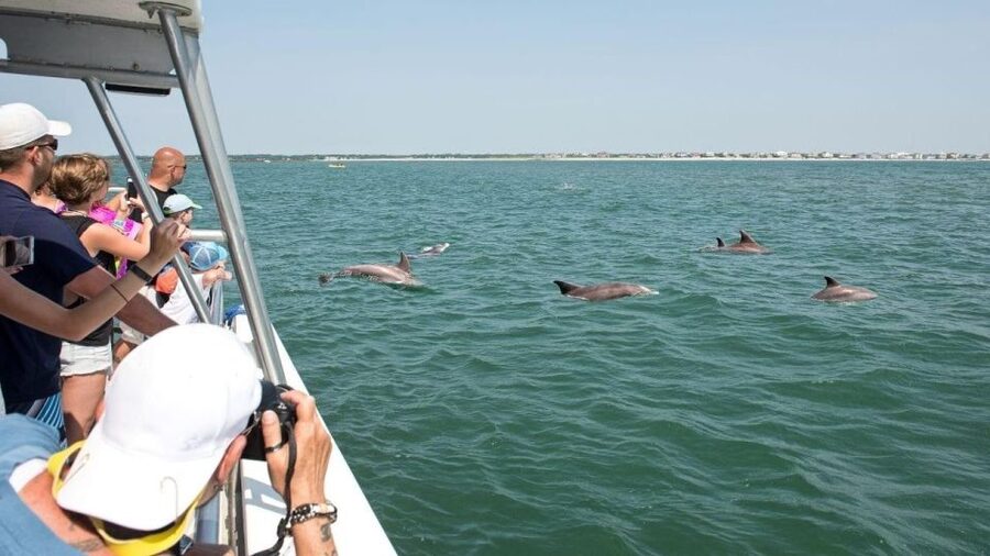 Ocean City, MD: Coastal Speedboat Tour with Dolphin Spotting - The coastal route and Ocean City views