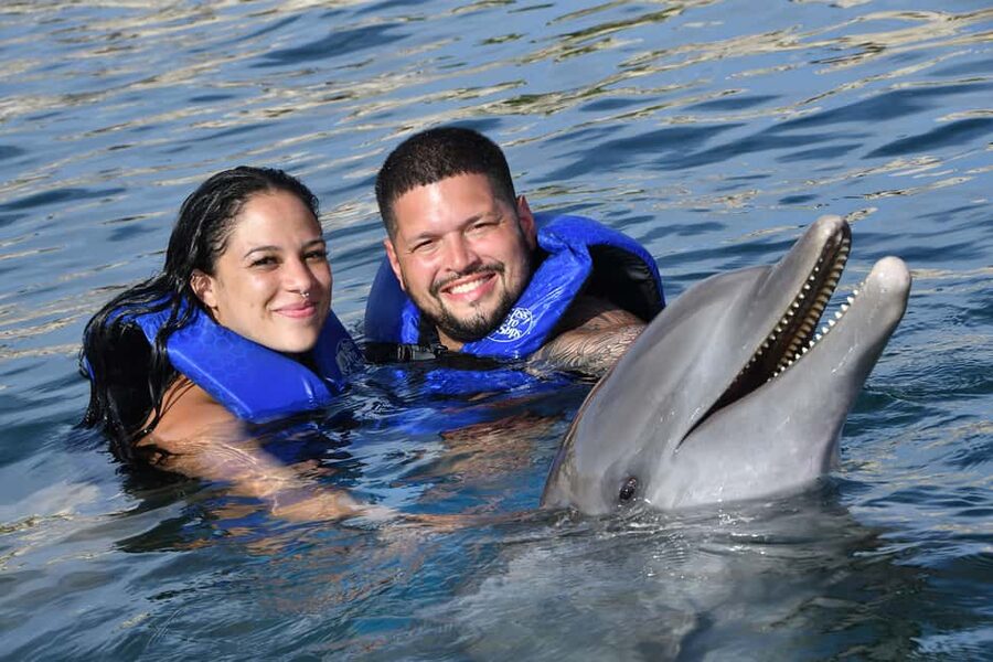 Ocean World Dolphin Swim & Sea Lion Combo from Puerto Plata - Key points at a glance