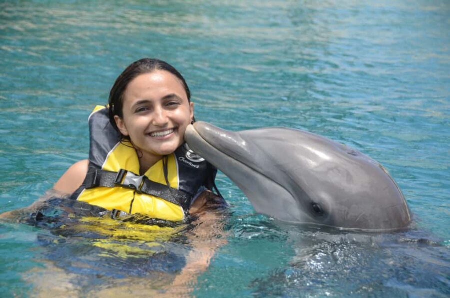 Ocean World Dolphin Swim & Sea Lion Combo from Puerto Plata - Meeting dolphins at Cofresi Beach