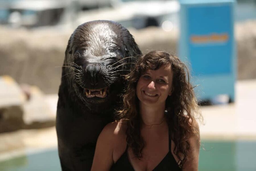 Ocean World Dolphin Swim & Sea Lion Combo from Puerto Plata - The park attractions included in your day pass