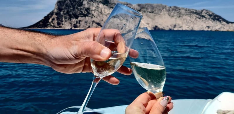 Olbia: Boat tour to watch Dolphins and snorkeling - Leaving from Olbia on the seven-meter Pholas