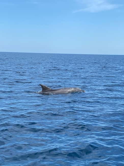 Olbia: Boat tour to watch Dolphins and snorkeling - Cala Moresca and the view toward Figarolo