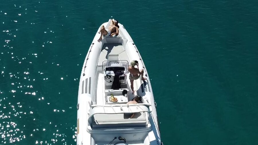 Olbia: Boat tour to watch Dolphins and snorkeling - A Sardinian aperitif with homemade food
