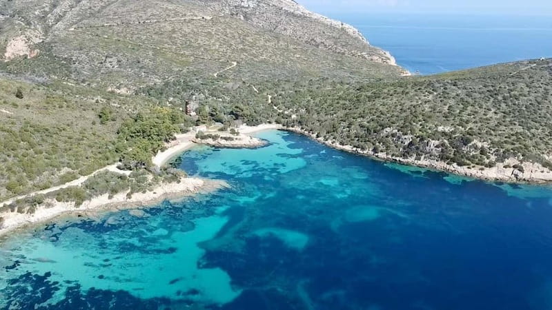 Olbia: Boat tour to watch Dolphins and snorkeling - What the small group changes