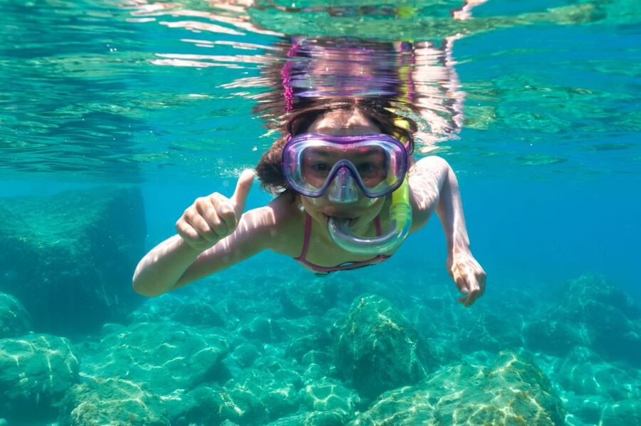 Olbia: Dolphin Watching and Snorkeling Boat Tour - At a Glance