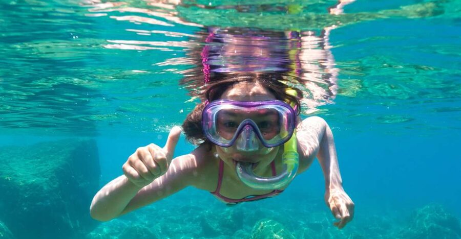Olbia: Dolphin Watching and Snorkeling Boat Tour - The Dolphin Search Near the Fish Farm