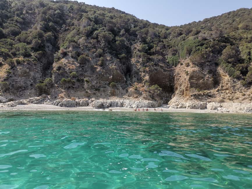 Olbia: Dolphin watching and snorkeling tour on Figarolo Island - Key points to know before booking