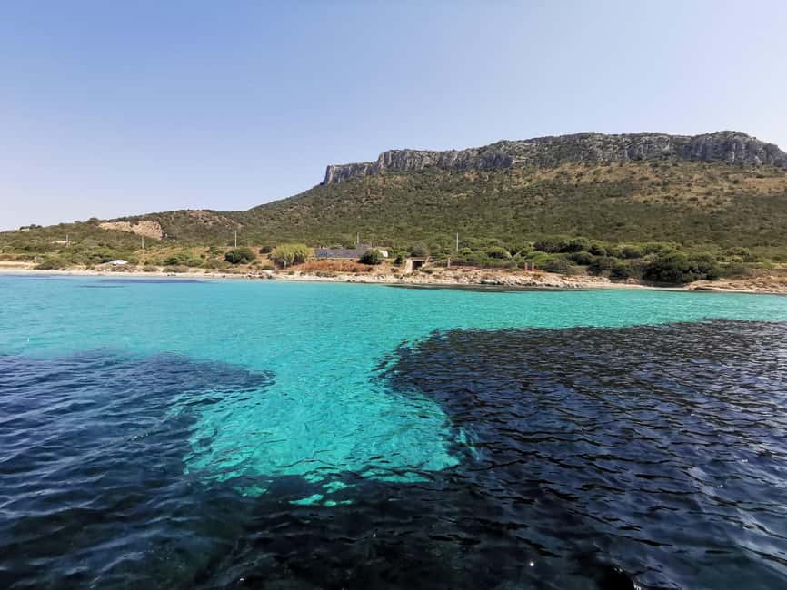 Olbia: Dolphin watching and snorkeling tour on Figarolo Island - From Olbia harbor to Figarolo Island