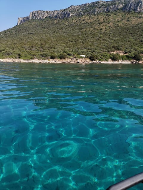 Olbia: Dolphin watching and snorkeling tour on Figarolo Island - What the $77 price covers