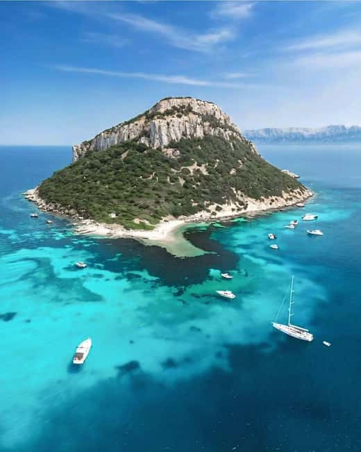 Olbia: Dolphin Watching & Snorkeling Boat Tour near Figarolo - The boat ride, comfort, and safety