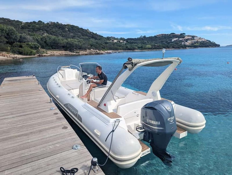 Olbia: Dolphin Watching & Snorkeling Boat Trip - Swimming and snorkeling at Cala Moresca