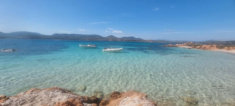 Olbia: Dolphin Watching & Swim with prosecco aperitif - Watching the Figarolo dolphins