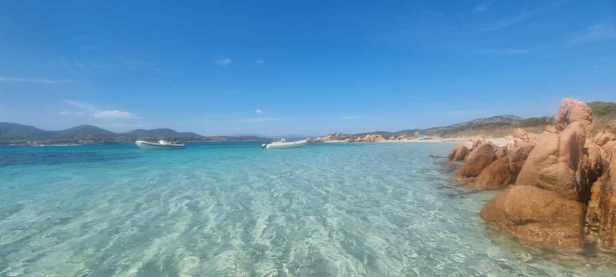Olbia: Dolphin Watching & Swim with prosecco aperitif - A swim stop in clear Sardinian water