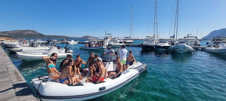 Olbia: Dolphin Watching & Swim with prosecco aperitif - The prosecco question