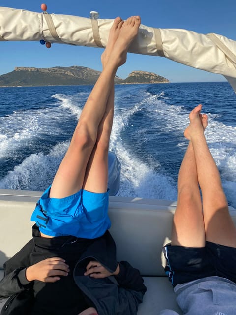 Olbia: Sunset and dolphin watching - Timing, languages, and practical planning