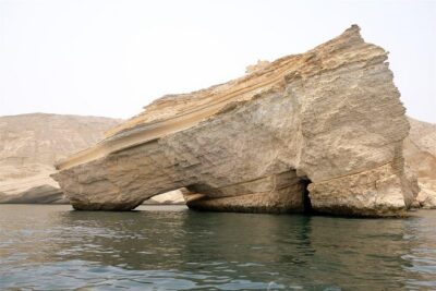 Oman Dolphin Watching Tours