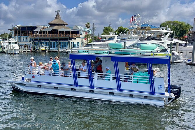 One Hour Harbor Shared Tour with Dolphin Watching - The value of the $30 price