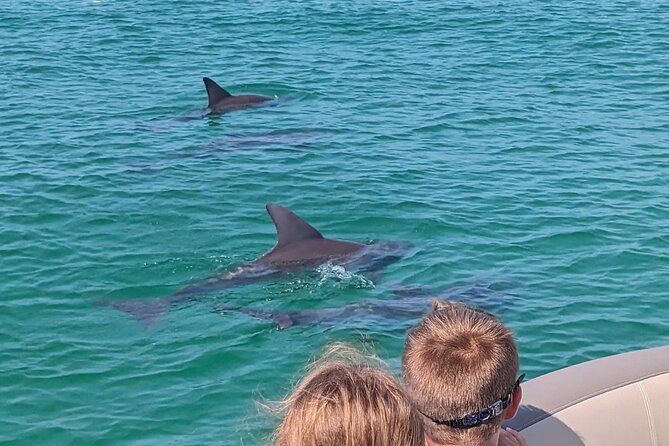 One Hour Harbor Shared Tour with Dolphin Watching - Why the 18-person limit matters