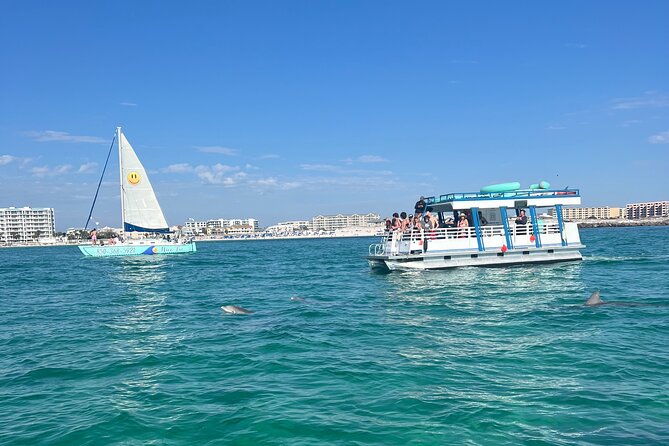 One Hour Harbor Shared Tour with Dolphin Watching - Comforts that make a short trip easier