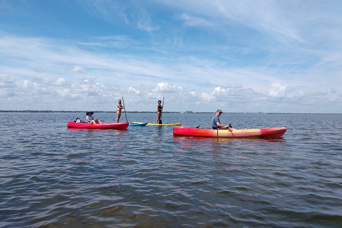 One Single Kayak Rental for 2 hours with Manatee & Dolphin sightings! - Why the Six-Person Limit Helps