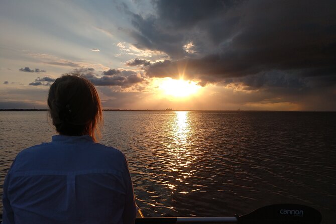 One Single Kayak Rental for 2 hours with Manatee & Dolphin sightings! - Equipment and Comfort on the Water