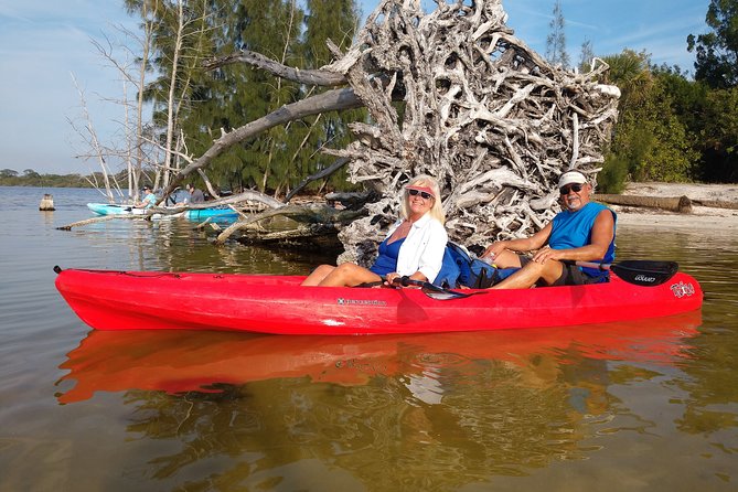 One Single Kayak Rental for 2 hours with Manatee & Dolphin sightings! - Planning the Day Around Cocoa Beach and Merritt Island
