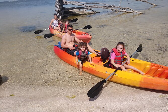 One Single Kayak Rental for 2 hours with Manatee & Dolphin sightings! - Wildlife: The Real Reason to Bring Patience