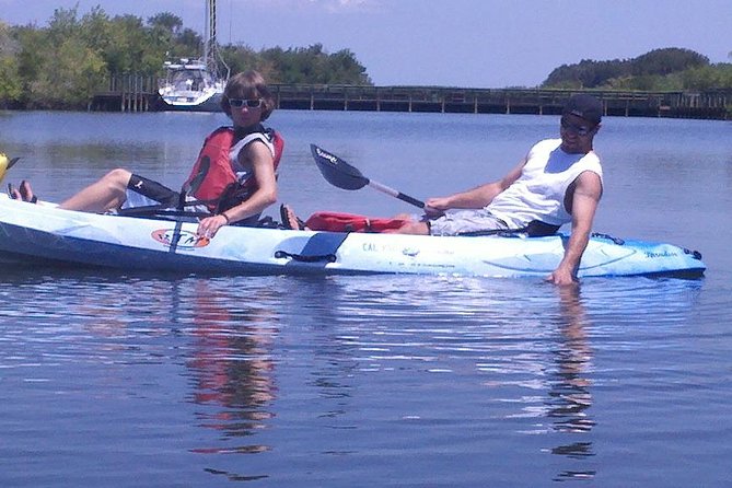 One Tandem Kayak Rental for 2 hours with Manatee & Dolphin sightings! - What the wildlife search is really like