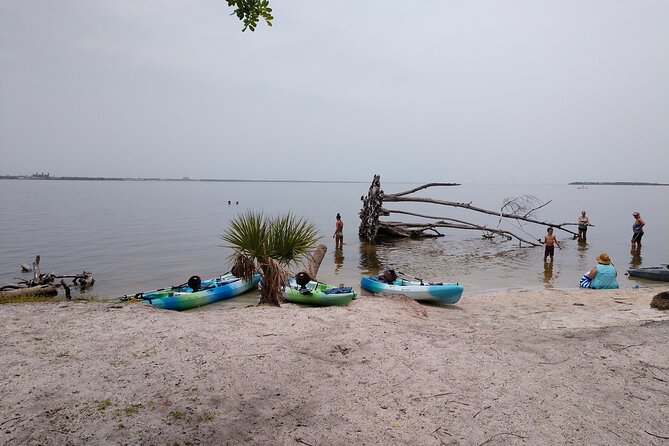 One Tandem Kayak Rental for 2 hours with Manatee & Dolphin sightings! - The important difference between a rental and a tour