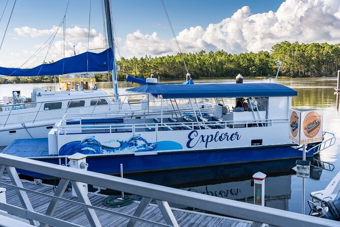 Orange Beach Dolphin Eco Boat Tour - Dolphin watching without a guarantee of a perfect show