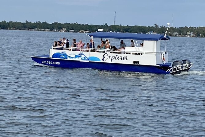 Orange Beach Dolphin Eco Boat Tour - Why the $25 price makes sense