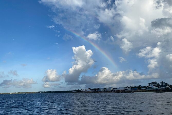 Orange Beach Dolphin Eco Boat Tour - Should you book the Orange Beach Dolphin Eco Boat Tour?