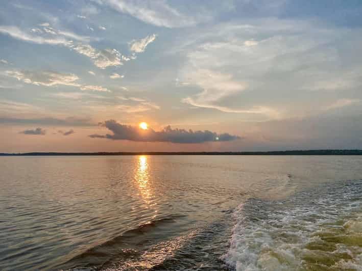 Orange Beach: Dolphin Eco Sunset Cruise aboard The Explorer - Dolphins are the headline, but the birds matter