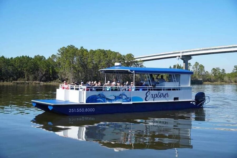 Orange Beach: Dolphin Eco Sunset Cruise aboard The Explorer - Who will enjoy this cruise most