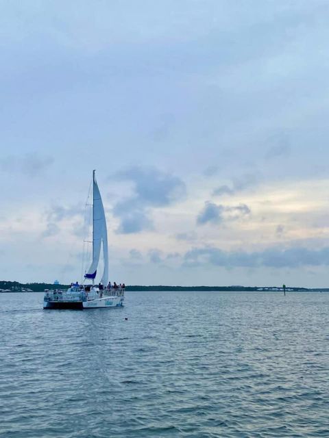 Orange Beach: Dolphin & Sailing Cruise Aboard 52' Catamaran - A Calm Catamaran Ride Through Wolf Bay