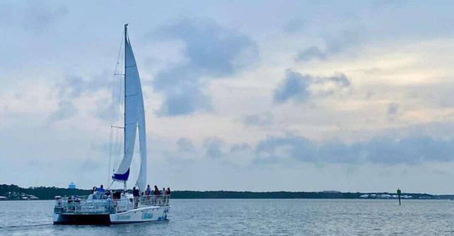Orange Beach: Dolphin & Sailing Cruise Aboard 52' Catamaran - Drinks, Snacks, and the Service Question